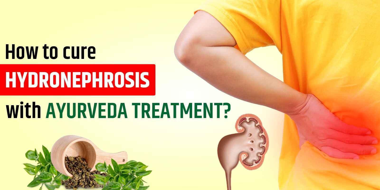 How to cure Hydronephrosis with Ayurveda Treatment?